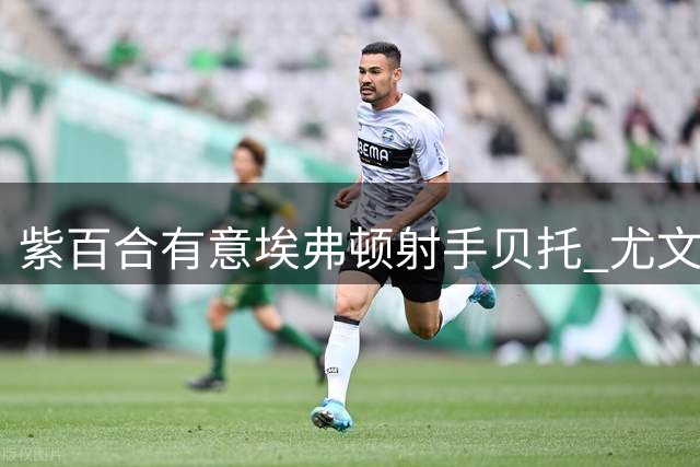紫百合有意埃弗顿射手贝托 尤文近期亦获推荐