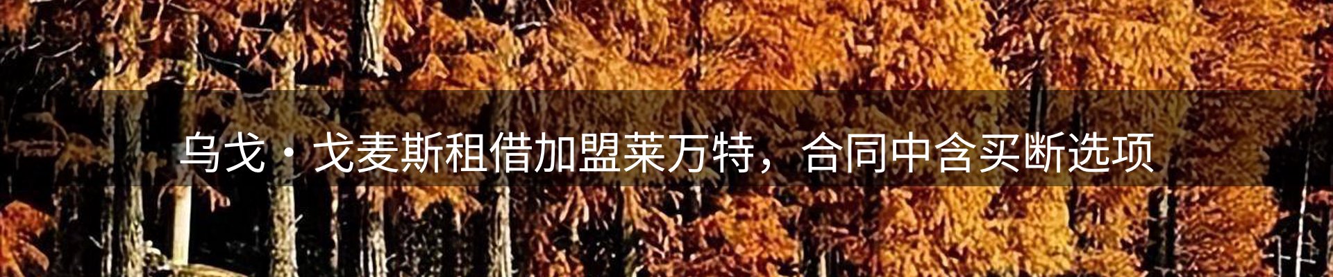 最新资讯