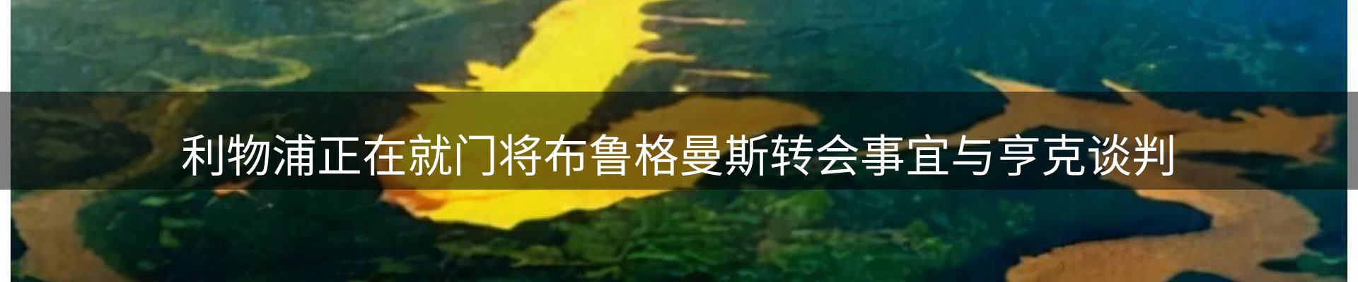 资讯记录