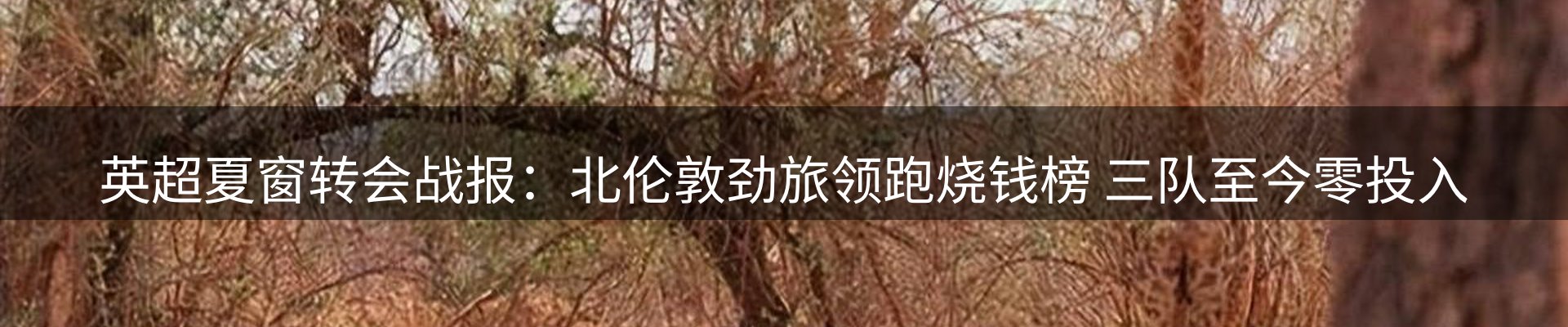 最新资讯